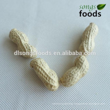 Malaysia export of peanut kernels